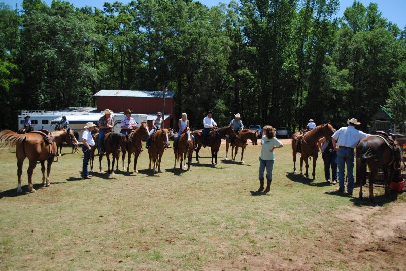 Jack Pot Ranch Sorting Competition